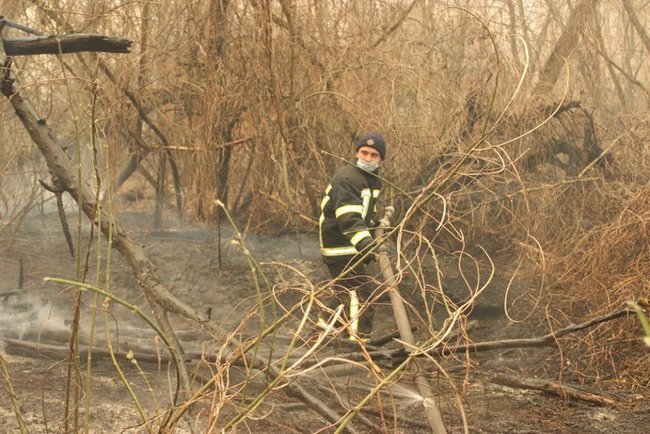 Винуватцю пожежі в зоні ЧАЕС повідомили про підозру: на чоловіка чекає суд 01