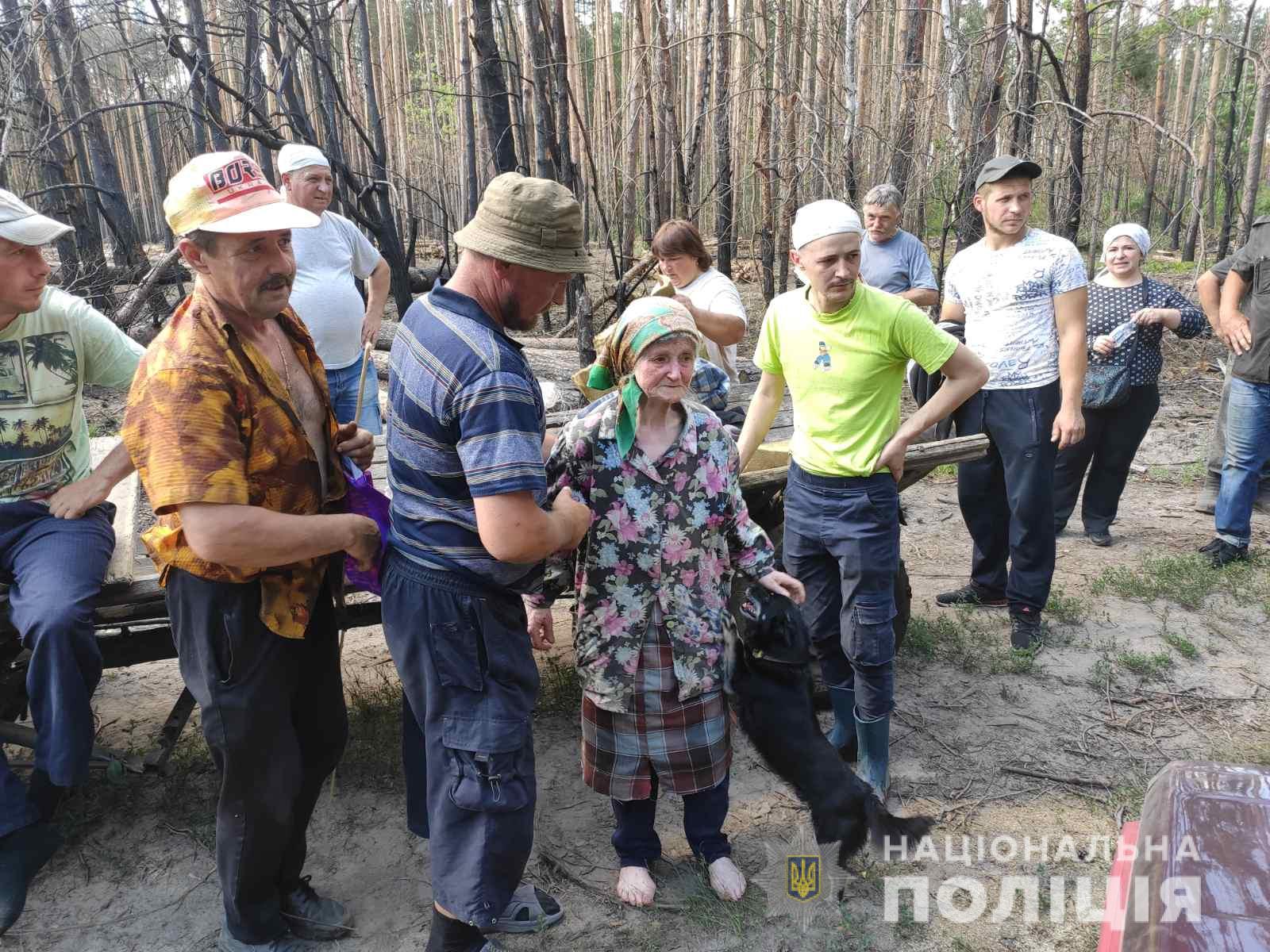 Бабушка заблудилась в лесу: Пожилая женщина заблудилась в лесу и провела  там 2 ночи | Цензор.НЕТ