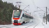 укрзалізниця,інтерсіті,тарпан