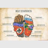 Мозг сапаратиста