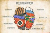 Мозг сапаратиста