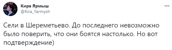 Самолет с Навальным сел в Шереметьево вместо Внуково 01