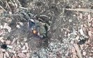окупант,гориь