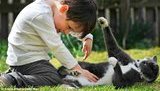 Сила дружбы: уличный кот помогает мальчику побеждать аутизм. ФОТОрепортаж