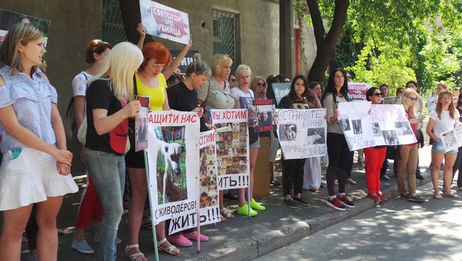 Отключение электричества, самоотвод судьи и митинг: Шевченковский райсуд Киева рассматривает ходатайство об аресте киевского догхантера Святогора 16