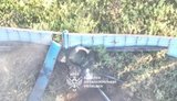 Russian soldier shoots himself in the head