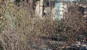 Обстріли Запорізької області 22 липня