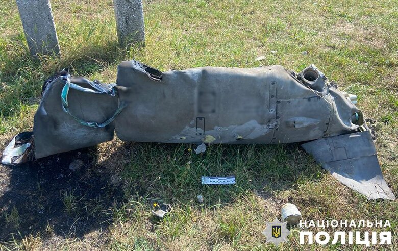 На Житомирщині після атаки РФ виявили та знищили понад десяток ворожих касетних боєприпасів