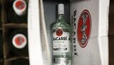 bacardi