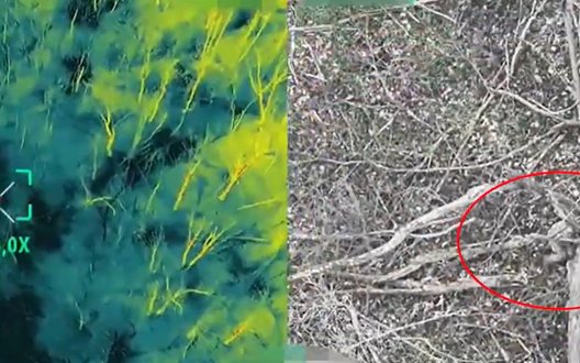 Поранений рашист привів дронарів 58-ї бригади до спостережного пункту окупантів на Харківщині. ВIДЕО