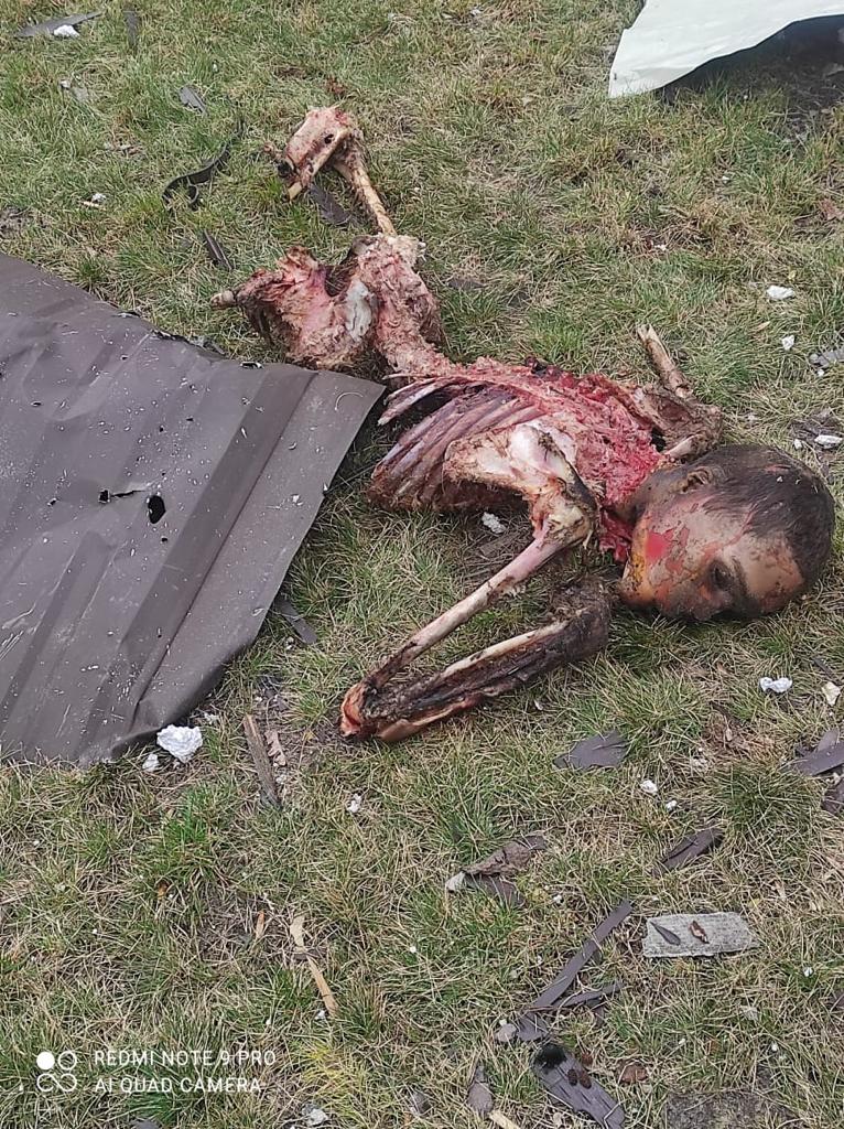 Russian occupiers devoured by dogs, killed by soldiers of 72nd Brigade in battles for Moshchun in Kyiv region 04 Russian occupiers devoured by dogs, killed by soldiers of 72nd Brigade in battles for Moshchun in Kyiv region 04