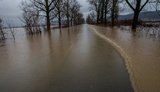 ДСНС попереджає про загрози нових підтоплень на заході України: у річках піднімається рівень води