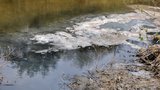 Понінківська картонно-паперова фабрика зливає стічні води в річку та труїть жителів, - Фірсов. ВIДЕО
