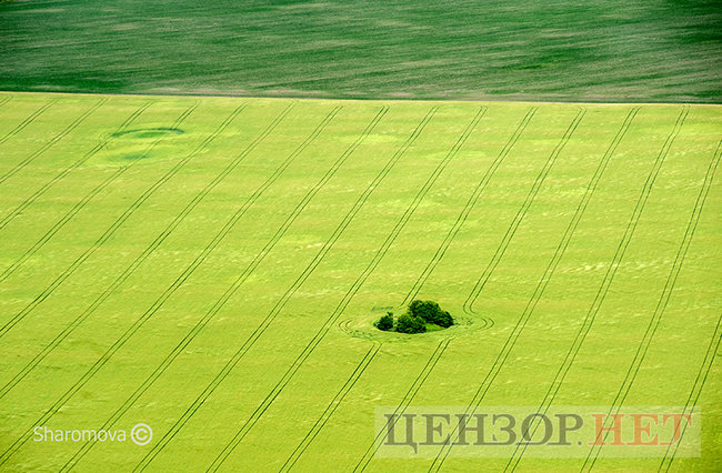 Як обійти мораторій на продаж землі 01