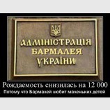 Демографическая реформа