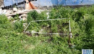 Police exhumed bodies of two more local residents who died during shelling of village of Blahodatne, Mykolaiv region. PHOTOS