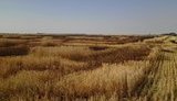 Минэкономики предложило разработать Меморандум по форвардным контрактам