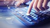 Количество физических лиц-предпринимателей в ИТ-сфере выросло на 45%. ИНФОГРАФИКА