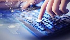 Количество физических лиц-предпринимателей в ИТ-сфере выросло на 45%. ИНФОГРАФИКА