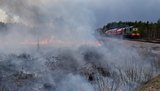 Рятувальникам Житомирщини допоможуть колеги з Івано-Франківщини та Тернопільщини, - ДСНС