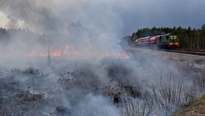 Спасателям Житомирщины помогут коллеги из Ивано-Франковщины и Тернопольщины, - ГСЧС