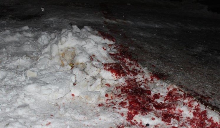 "Amber" showdown in Olevsk: unknowns fire pistols and rifles at group of men, kill one, - activist. PHOTOS