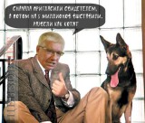Оцените красоту игры