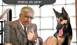 Оцените красоту игры