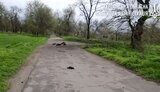 херсон