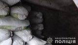 На Дніпропетровщині затримано групу, що вкрала 260 тонн вугілля з товарних потягів, - Нацполіція. ФОТО
