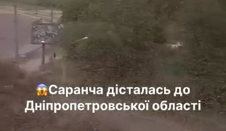 Нашестя сарани охоплює Дніпропетровську область. ВIДЕО