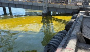 Після удару РФ у морі біля Одещини з’явилась гігантська пляма олії. ФОТОрепортаж