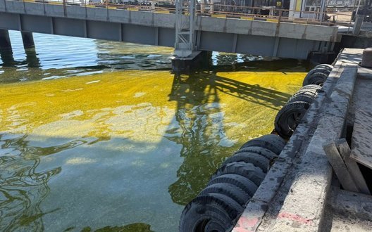 Після удару РФ у морі біля Одещини з’явилась гігантська пляма олії. ФОТОрепортаж