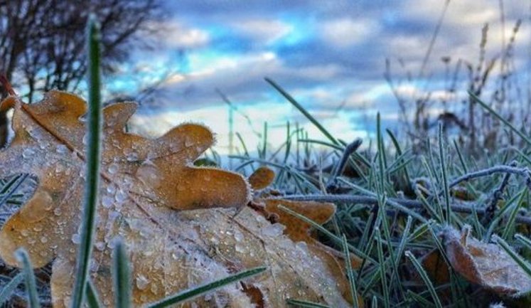 Weather forecasters warn of ground frost in Ukraine