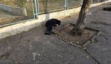 херсон