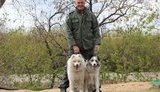нападение сепаратисты кинолог