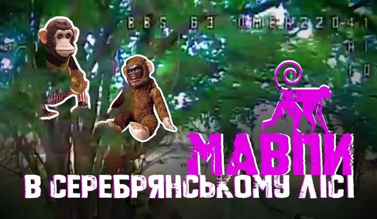 У российских солдат новая тактика: они залезают на деревья, чтобы спрятаться от украинских дронов. ВИДЕО