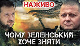 бутусов,плюс