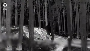 Border guards of the "Steel Border" eliminated more than 50 Russian soldiers with strike drones. VIDEO