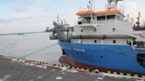 Одесский порт покрылся льдом: начался сбор средств на его устранение. ФОТОрепортаж