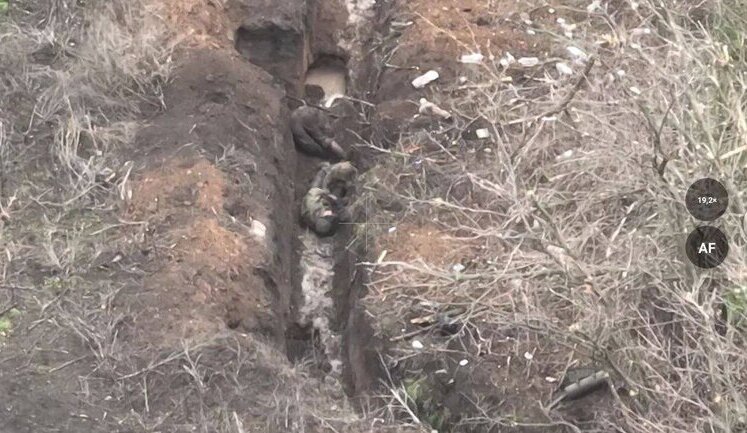 Поля под Бахмутом усеяны трупами российских оккупантов. ФОТОрепортаж