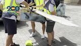 В Іспанії наркоділки перевозили гашиш за допомогою дронів українського виробництва