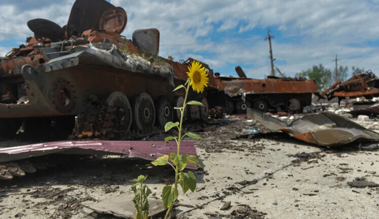 Environmental damage of war in Ukraine reached UAH 367 billion - Defense Ministry