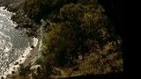 Жители Симеиза сняли видеобращение к Януковичу: просят остановить "регионалов", которые "дерибанят" детский противотуберкулезный санаторий. ВИДЕО