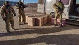 У Донецькій області правоохоронці припинили спробу незаконного переміщення через лінію розмежування великої партії сигарет. ФОТОрепортаж
