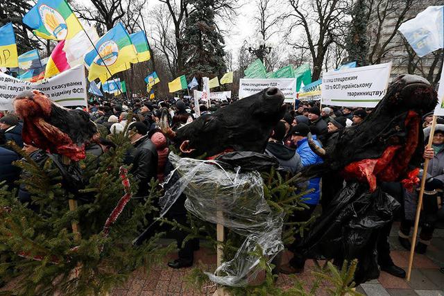 вр драка митинг