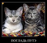 Погладь ПУТЭ