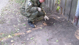 Подружжя підірвалося на розтяжці біля воріт свого будинку в Чернігівській області, - Нацполіція. ФОТОрепортаж