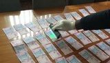 СБУ спіймала на хабарі в 15 тис. гривень чиновника РДА на Полтавщині. ФОТО