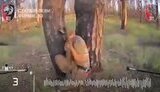 ликвидация оккупантов на участке Лиманского направления